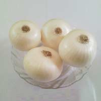 Fresh White Onion